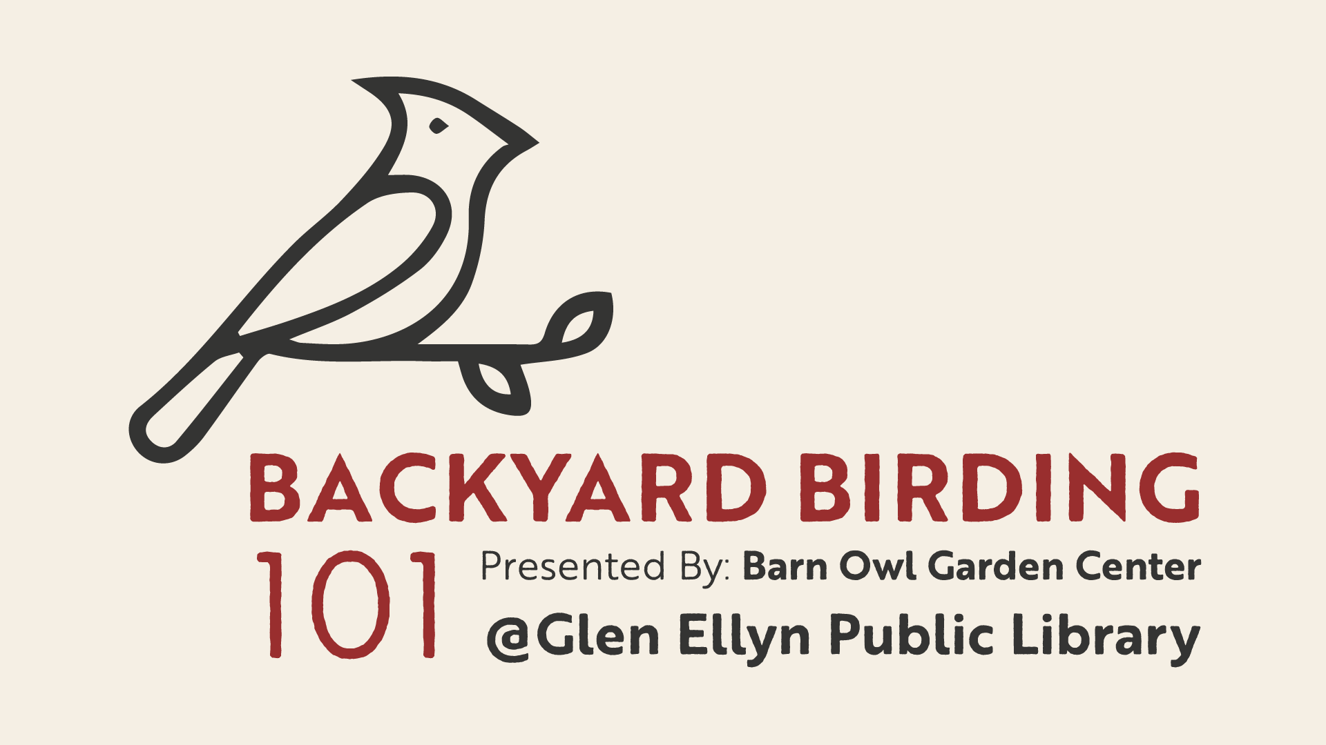 back yard birding barn owl garden