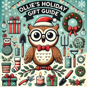 Ollies Holiday Gift Guide