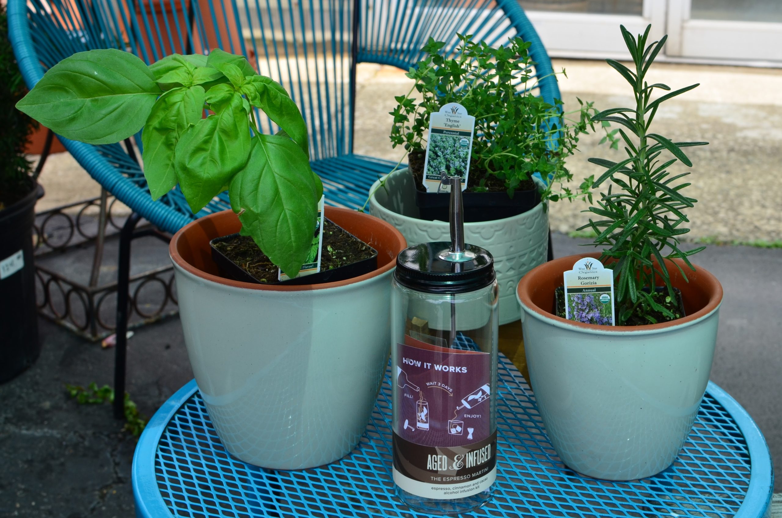 Kitchen Garden Bundle — fresh basil, rosemary, thyme, and indoor herb pots