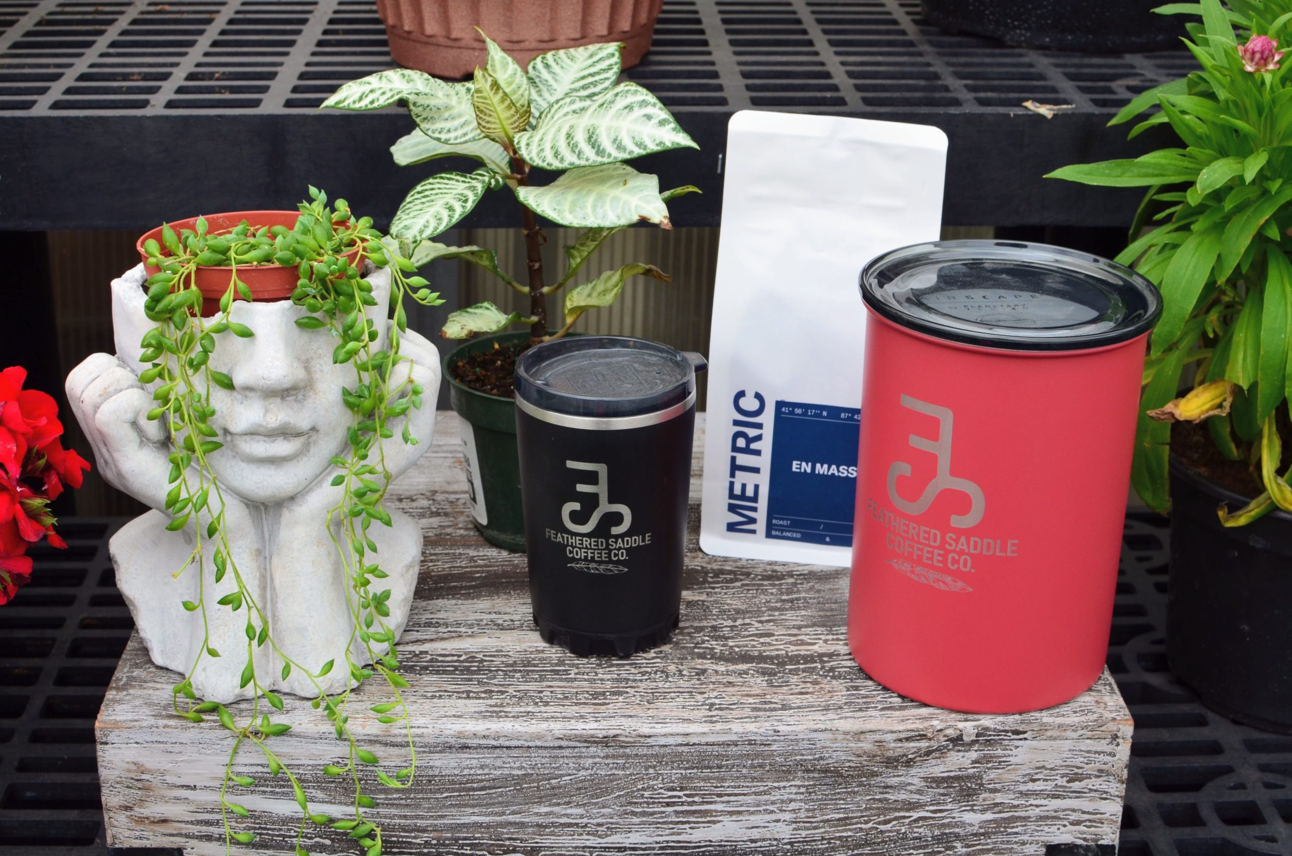 Me Time Bundle — coffee, planter, and lush houseplant